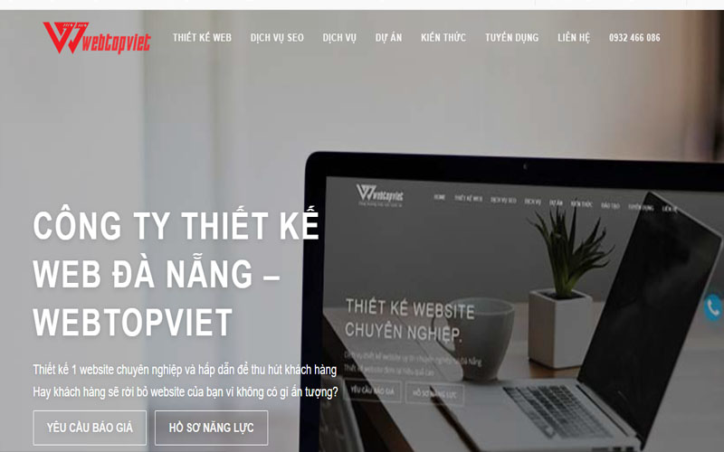 thiet-ke-website-da-nang-webtopviet