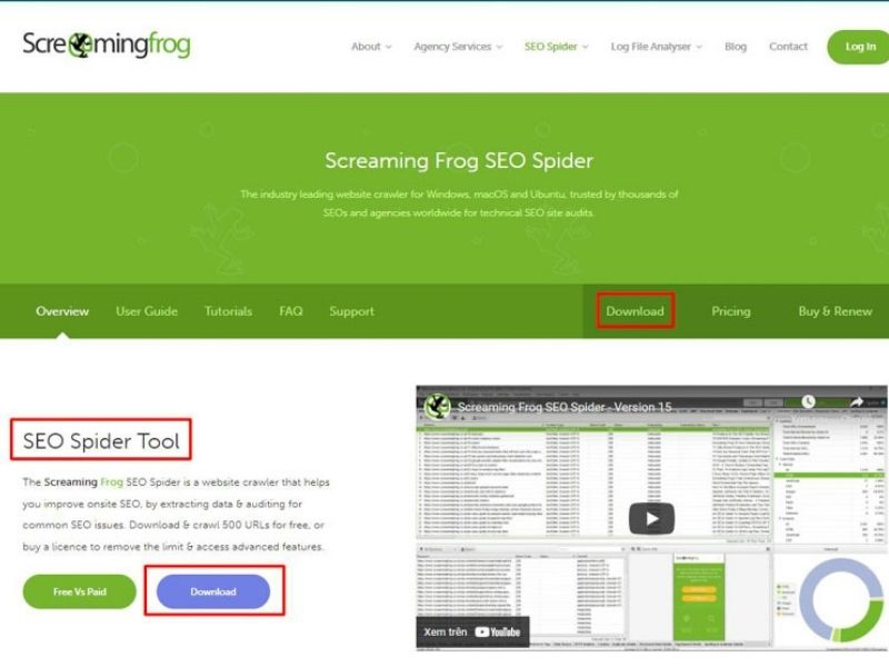 Screaming Frog là gì?