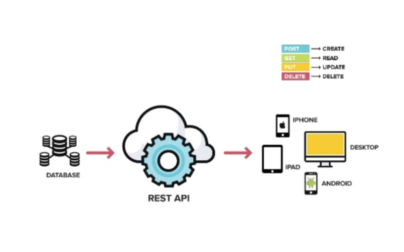 API (11)
