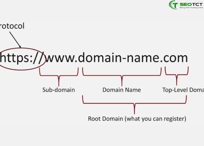 domain (2) domain (2)