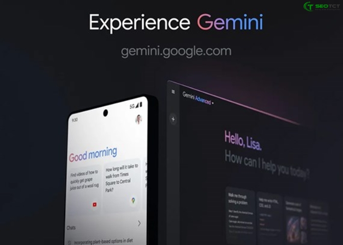 google gemini (2)